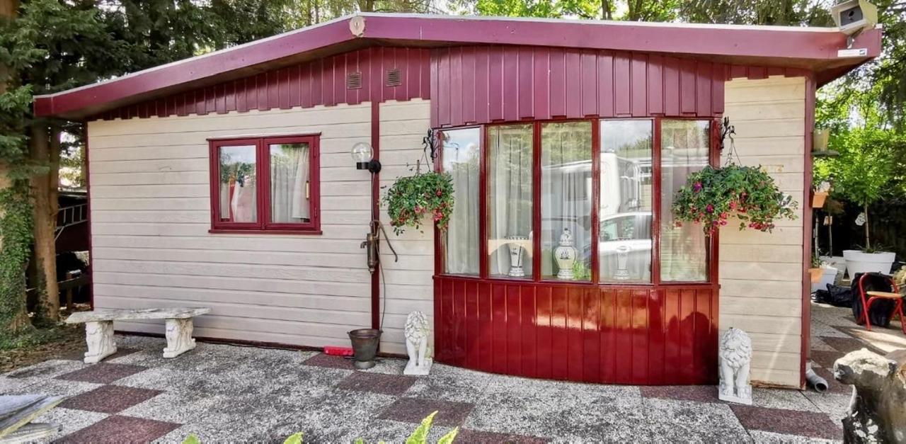 Retro Relax Resort Midden In Het Bos Op De Veluwe In 皮滕 外观 照片