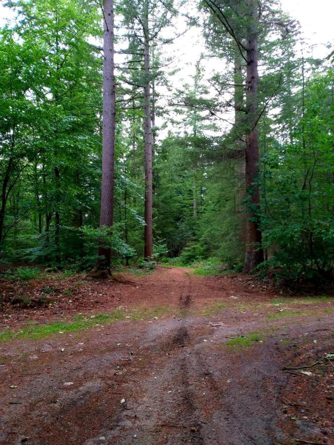 Retro Relax Resort Midden In Het Bos Op De Veluwe In 皮滕 外观 照片